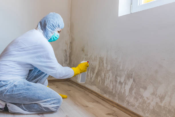 Mold Remediation specialist working in Fort Lee