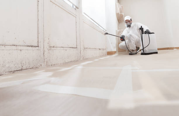 Black mold remediation team in Fort Lee